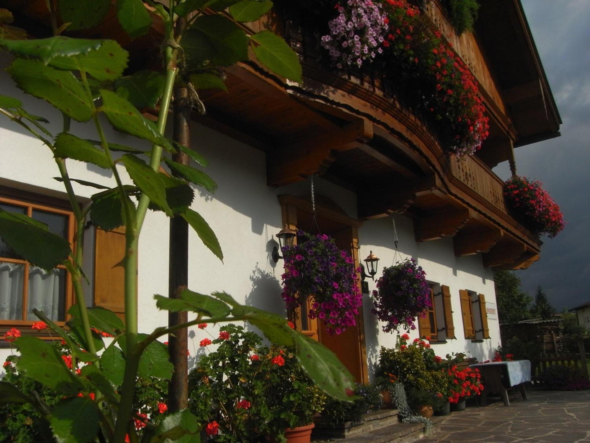Hofbauer Villa Itter Exterior foto