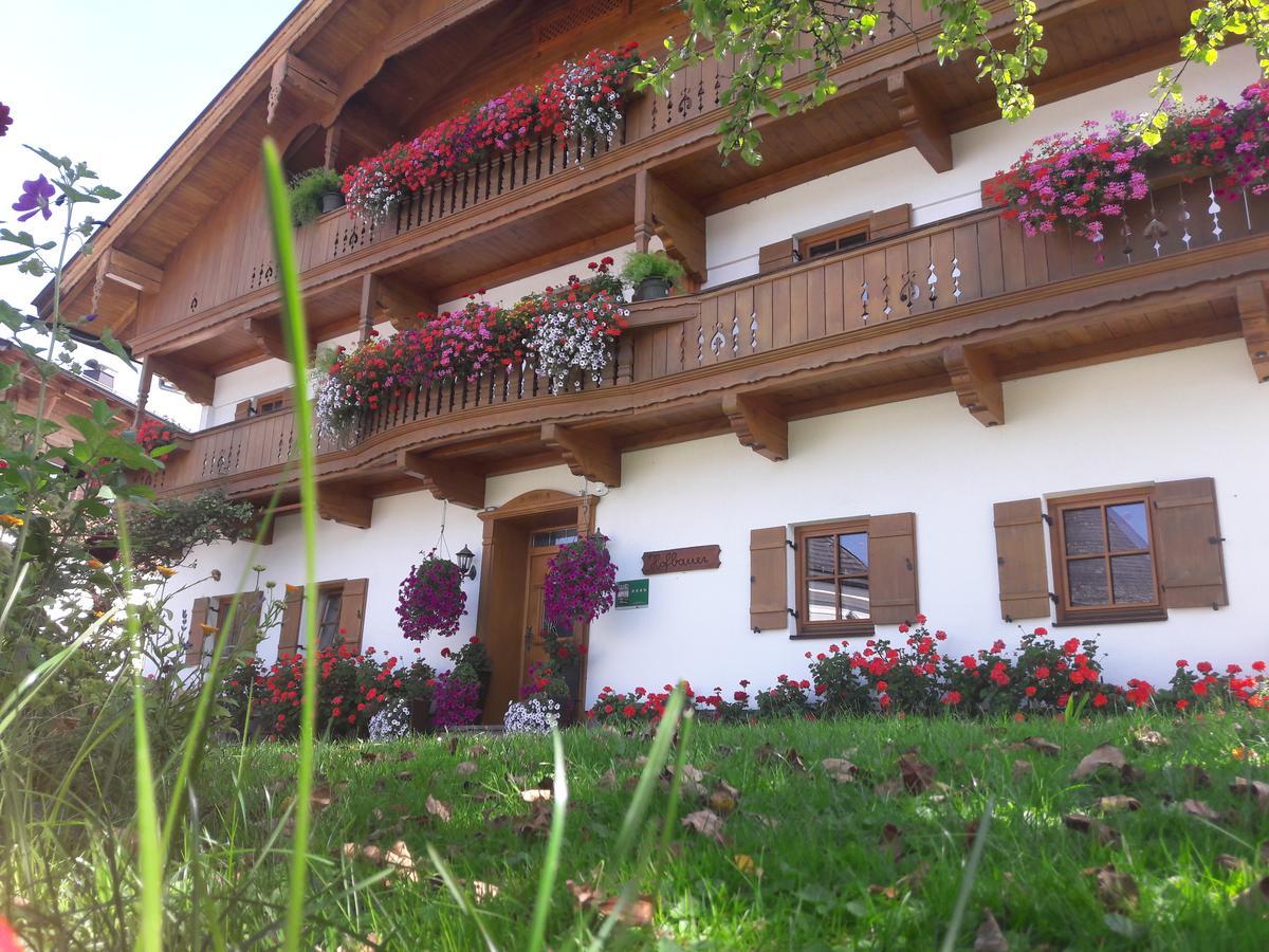 Hofbauer Villa Itter Exterior foto