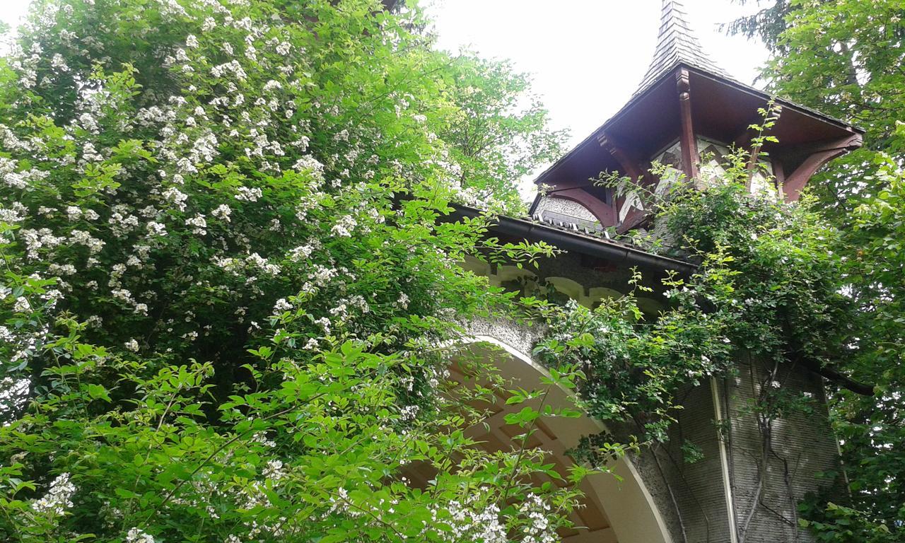 Hofbauer Villa Itter Exterior foto